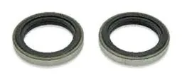 Brake Cam Oil Seal Set of 2 Pcs. (TVS)