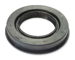 Input Shaft Oil Seal (Rear)