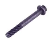 Water Inlet Bolt (M10 X 75)