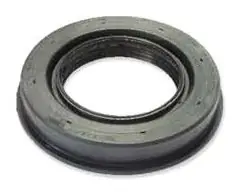 Input Shaft Oil Seal (Rear)
