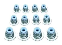 Valve Seal Set of 12 Pcs.
