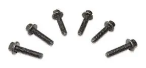 Injector Screw (Set of 6 Pcs.)