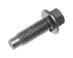 Chamber Screw